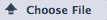 Choose File